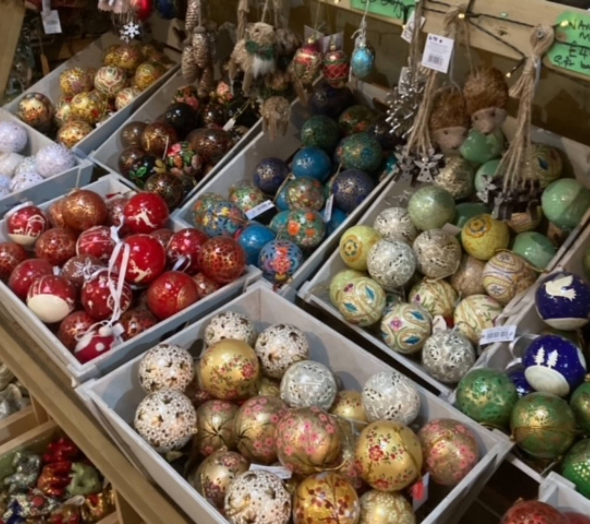 volunteer 3980607.jpeg